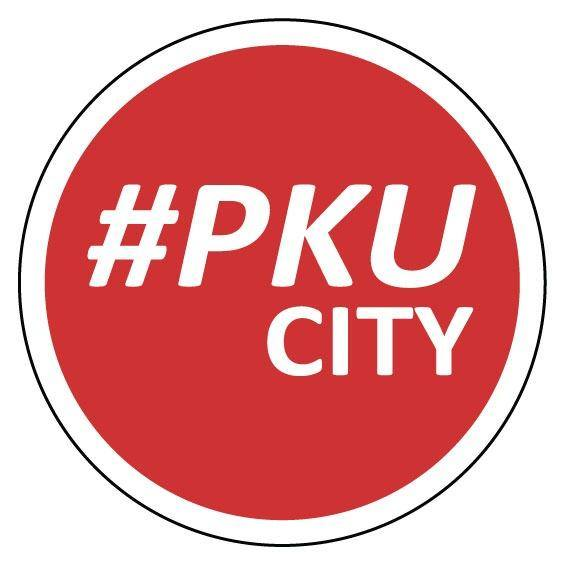 PKUCITY Logo